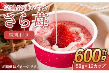いちご 冷凍 50g×12カップ 合計600g 練乳  完熟 冷凍 いちご 「さら苺」 50g×12カップ 合計600g 練乳付き 1本（120g） 園村苺園 熊本県産冷凍いちご 宇城市産冷凍いちご 九州産冷凍いちご 