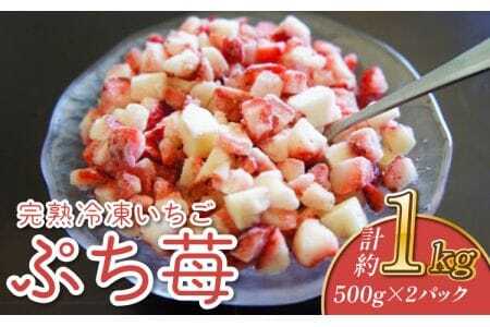 いちご 冷凍 1㎏ (500g×2パック) 完熟 冷凍 いちご 「ぷち苺」 1kg（500g×2パック） 園村苺園 熊本県産冷凍いちご 宇城市産冷凍いちご 九州産冷凍いちご 