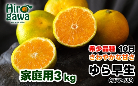 由良早生 みかん 訳あり 3kg / ゆら早生 温州みかん 極早生 甘い 家庭用 和歌山 柑橘 ※2026年10月上旬～10月下旬頃順次発送予定 ※北海道・沖縄・離島への配送不可  【sml003-yura-c3A】