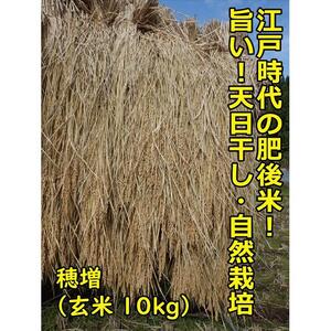 【2025年10月順次発送】江戸時代のお米！ 穂増(玄米) 10kg 令和7年産