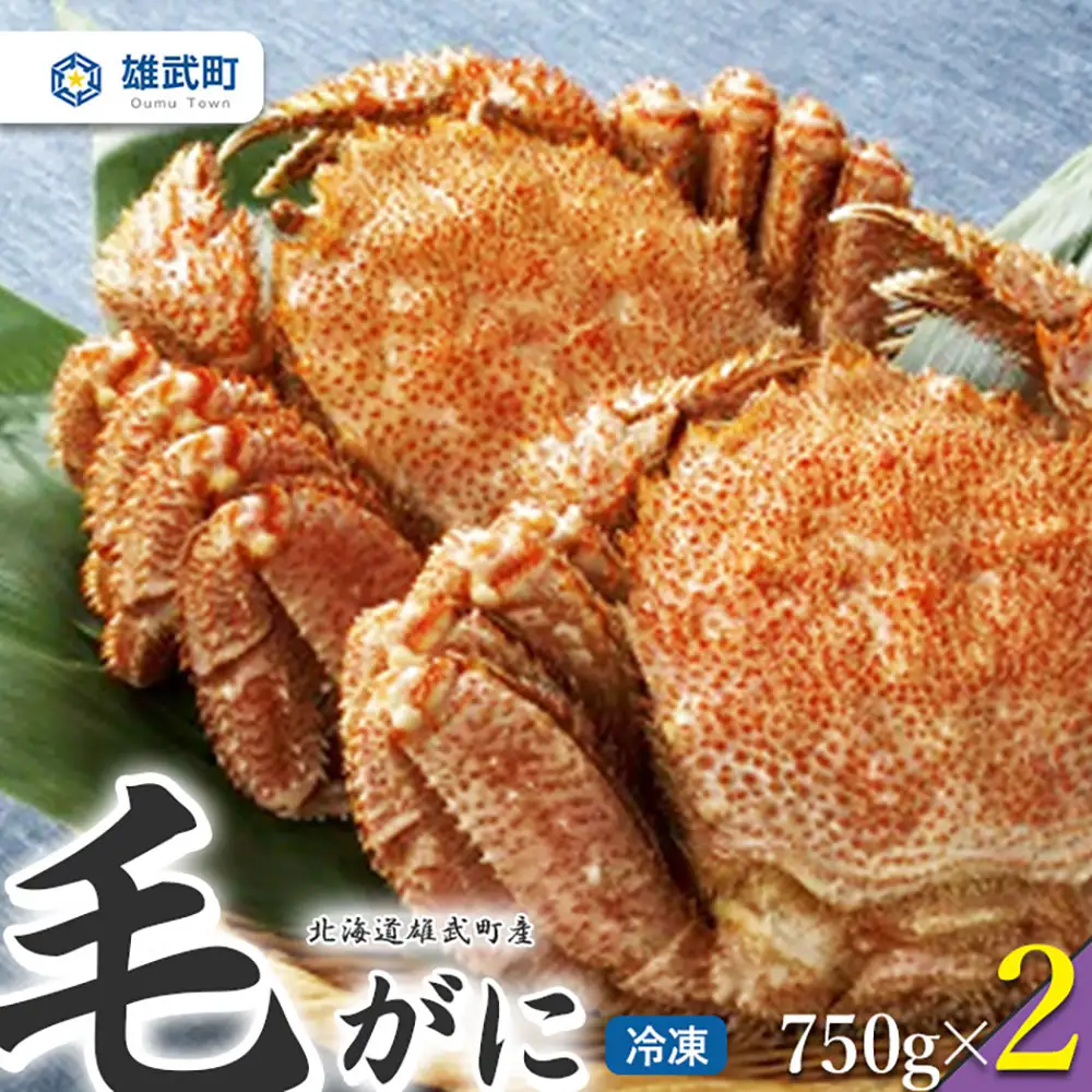 【北海道雄武町産】　毛がに（冷凍）(750g×2)【1237101】