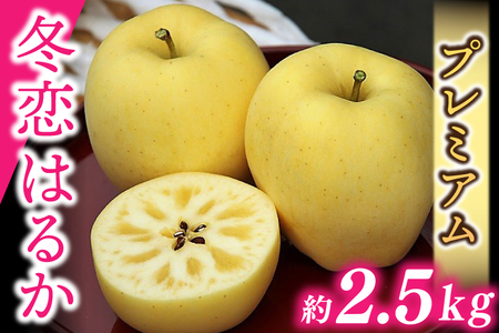 高級りんご【はるか】軸なし5k❷ はるかの極み | 産地直送通販 | 青森りんご | RED APPLE（レッド