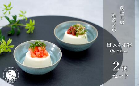 有田焼 貫入4寸（12cm）小鉢2個セット 青磁 食器 鉢 うつわ 作家 梶原大敬 茂正工房 A24-79