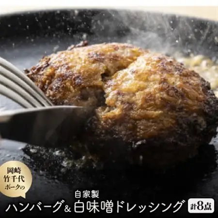 【新ブランド豚使用】愛知県岡崎市から贈る、岡崎竹千代ポークのハンバーグと自家製白味噌ドレッシング【配送不可地域：離島】【1436198】