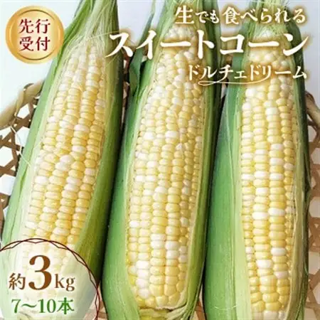 【先行受付2026年】とうもろこし　ドルチェドリーム　約3.0kg　数量限定【配送不可地域：離島】【1451276】