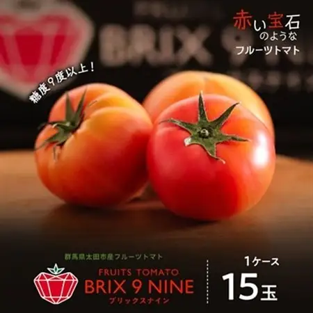 【令和8年3月発送開始】糖度9度以上!赤い宝石のようなフルーツトマト　ブリックスナイントマト1ケース_野菜  トマト _【配送不可地域：離島】【1210032】