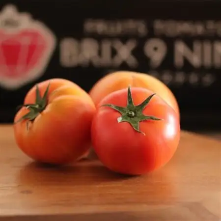 【令和8年3月発送開始】糖度9度以上!赤い宝石のようなフルーツトマト　ブリックスナイントマト2ケース_野菜  トマト _【1210033】