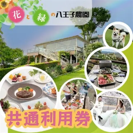展望レストラン・BBQ・愛犬とお食事が大人気!【共通利用券 9000円】 花と緑の八王子農園_旅行券・チケット   _【1409155】
