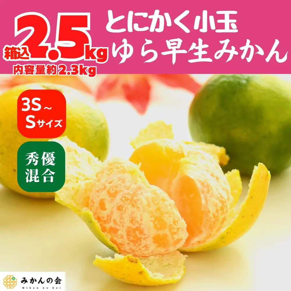ゆら早生 みかん 小玉ちゃん 箱込2.5kg(内容量 2.3kg) 3S～Sサイズ混合 秀優混合 有田みかん 和歌山県産 【みかんの会】［2026年10月下旬頃より順次発送予定］