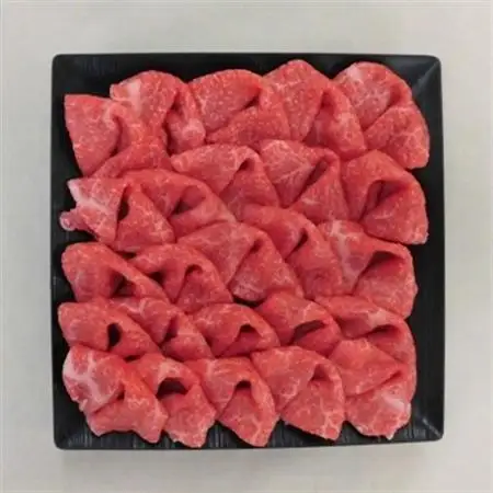 A5等級 飛騨牛切落し500g(冷凍)【配送不可地域：離島】【1134703】