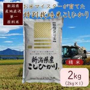 お米マイスターが育てた特別栽培米 コシヒカリ 上越頸城産 令和7年産 2kg(2kg×1袋)白米