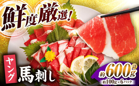 ヤング馬刺し 計600g（6pc）＋タレ大【馬刺しの郷 民守】[ZBL013]