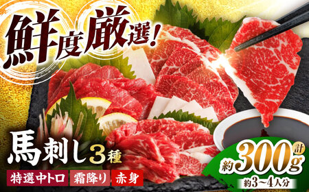 馬刺し バラエティセット 3種類＋タレ小 熊本馬刺し[ZBL014]