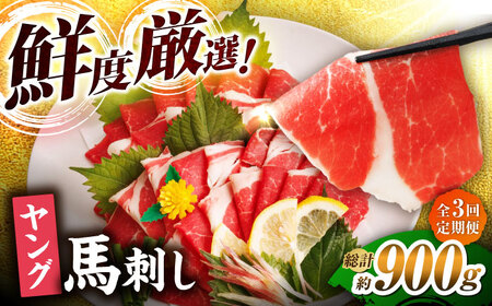 【3回定期便】ヤング馬刺し 計300g（3pc）＋タレ小【馬刺しの郷 民守】 馬肉 熊本県 特産品 馬刺し [ZBL046]