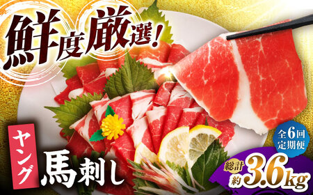 【6回定期便】ヤング馬刺し 計600g（6pc）＋タレ大【馬刺しの郷 民守】馬肉 熊本県 特産品 馬刺し [ZBL075]