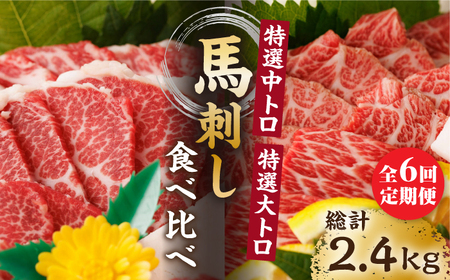 【6回定期便】特選霜降り馬刺し 中トロ大トロ2種食べ比べセット 計400g（各2pc）＋タレ大【馬刺しの郷 民守】2種馬刺しセット 中トロ 大トロ 熊本 霜降り 特選 タレ付き [ZBL079]