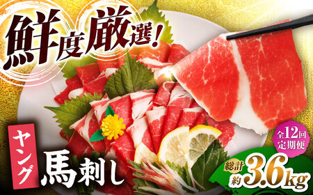 【12回定期便】ヤング馬刺し 計300g（3pc）＋タレ小【馬刺しの郷 民守】 馬肉 熊本県 特産品 馬刺し  [ZBL102]