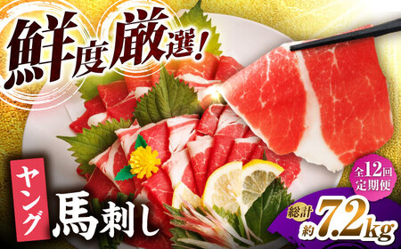 【12回定期便】ヤング馬刺し 計600g（6pc）＋タレ大【馬刺しの郷 民守】 馬肉 熊本県 特産品 馬刺し [ZBL103]