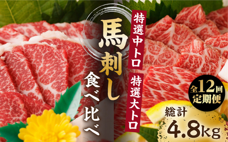 【12回定期便】特選霜降り馬刺し 中トロ大トロ2種食べ比べセット 計400g（各2pc）＋タレ大【馬刺しの郷 民守】2種馬刺しセット 中トロ 大トロ 霜降り 特選 タレ付き  [ZBL107]