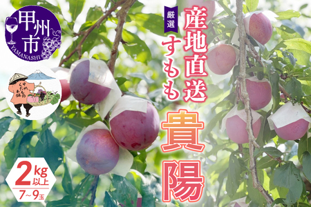 厳選！産地直送すもも「貴陽」2kg以上（7～9玉）【2026年発送】（KKH）B15-425 すもも フルーツ