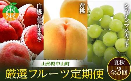 《先行予約》山形県中山町 厳選フルーツ定期便 夏秋 全3回 【2026年8月開始】 白桃 黄金桃 シャインマスカット 葡萄 ぶどう ブドウ 桃 もも モモ 山形県産 フルーツ 果物 くだもの 連続 F4A-0365