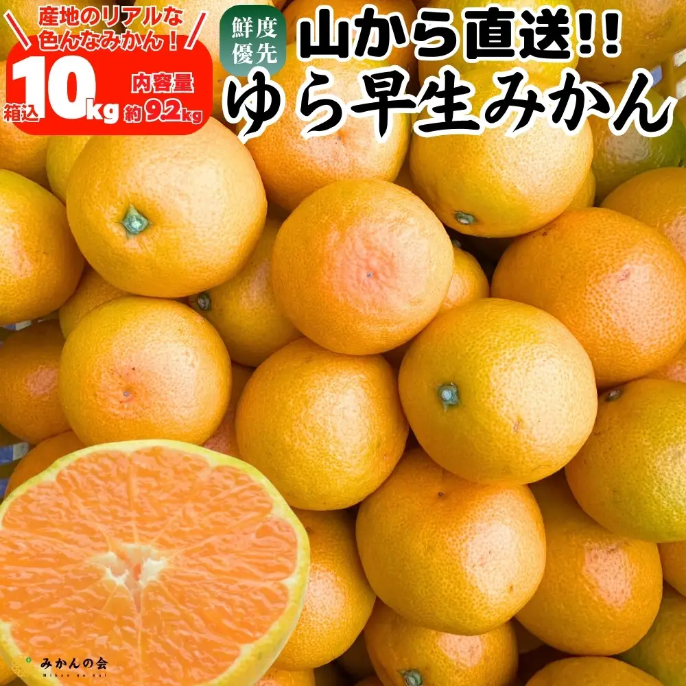 ゆら早生 みかん 山から直送 箱込 10kg (内容量 9.2kg) 採れたてそのままごろごろ規格 有田みかん 和歌山県産 【みかんの会】［2026年10月下旬頃より順次発送予定］