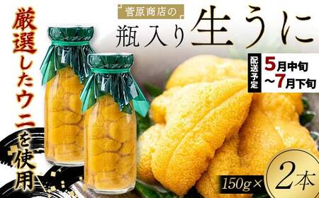 【発祥の地】【牛乳瓶入り生うに】【2026年5月中旬以降発送 】菅原商店 生うに 150g×2本 国産 三陸山田 岩手県 山田町 三陸 旬 うに 牛乳瓶 無添加 ウニ 雲丹 うに丼 無添加ウニ キタムラサキウニ 特選 ミョウバン不使用 YD-902
