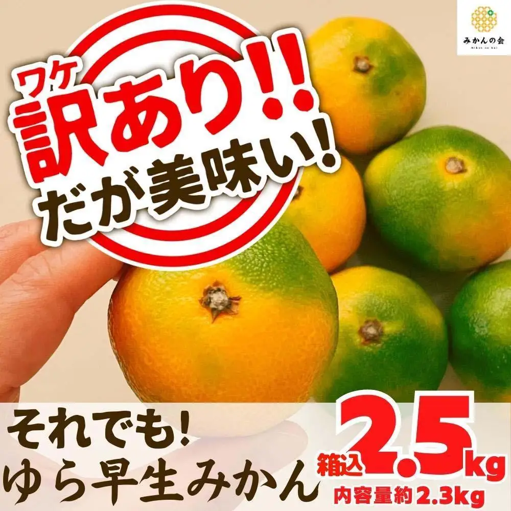 訳あり ゆら早生 みかん 箱込2.5kg (内容量 2.3kg)サイズミックス 有田みかん 和歌山県産 【みかんの会】［2026年10月下旬頃より順次発送予定］