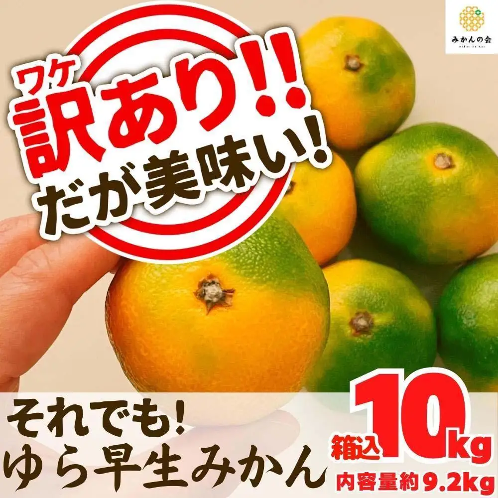 訳あり ゆら早生 みかん 箱込10kg(内容量 9.2kg)サイズミックス 有田みかん 和歌山県産 【みかんの会】［2026年10月下旬頃より順次発送予定］