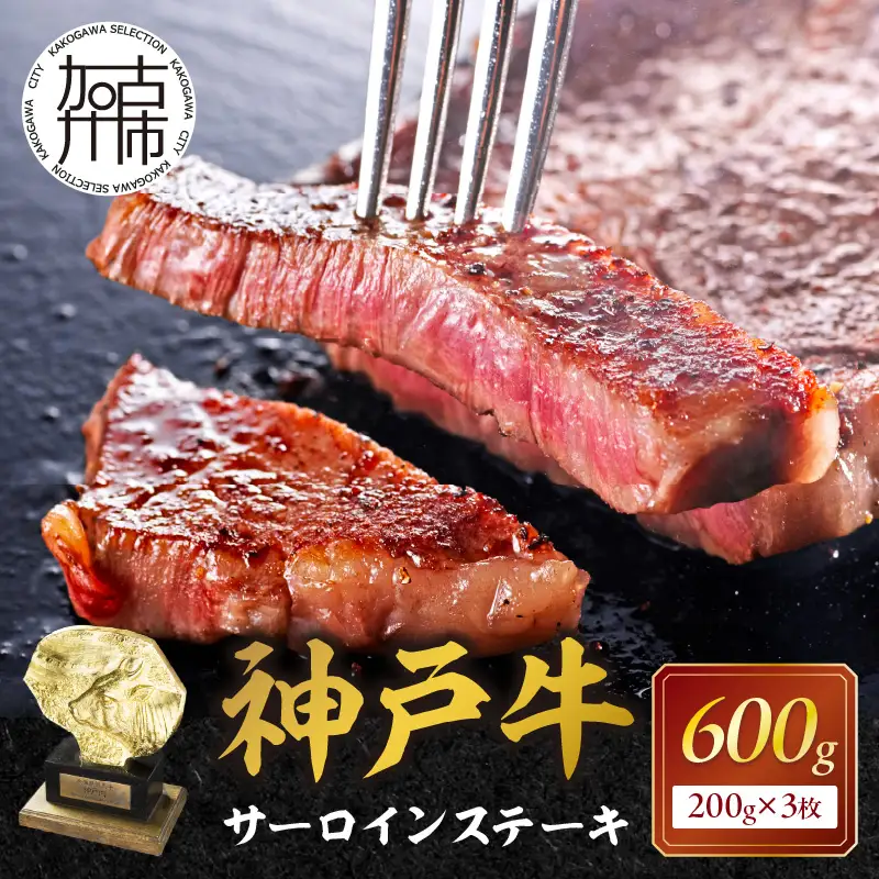 神戸牛サーロインステーキ(200g×3枚)《 肉 牛肉 牛 神戸牛 国産牛  サーロイン ステーキ 》【2407A00117】