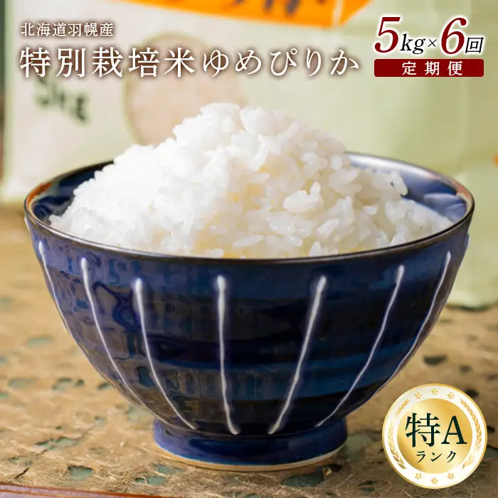 【2025年産】 【定期便：6回】 北海道羽幌産 特別栽培米 ゆめぴりか5kg【0811302】