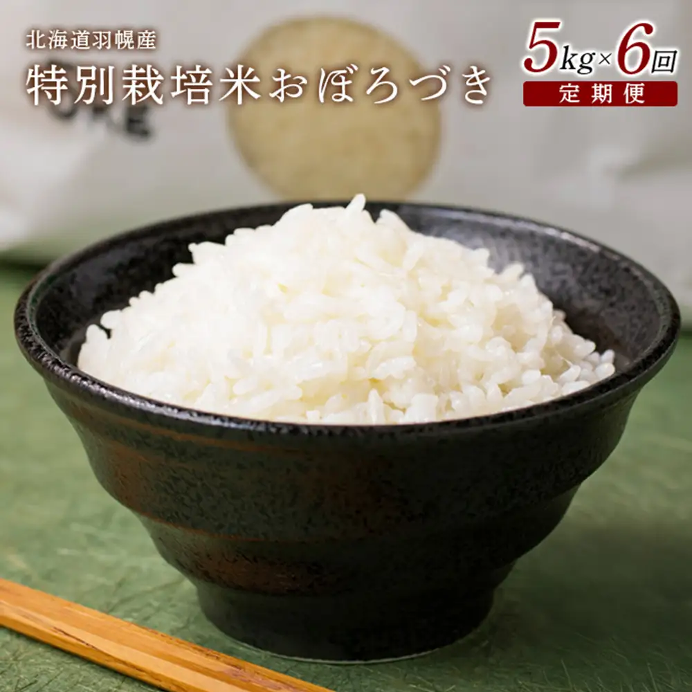 【2025年産】 【定期便：6回】 北海道羽幌産 特別栽培米 おぼろづき5kg【0811402】