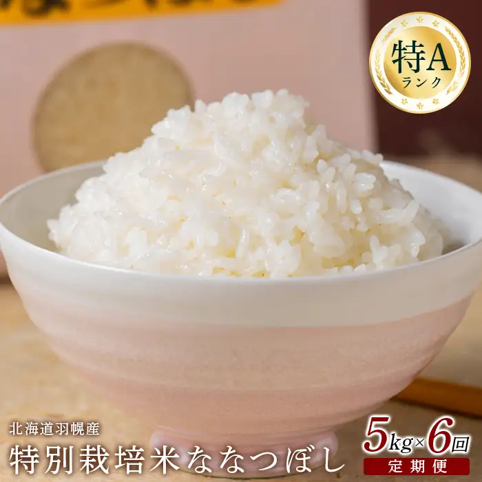 【2025年産】 【定期便：6回】 北海道羽幌産 特別栽培米 ななつぼし5kg【0811502】