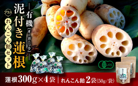 【2026年度発送分 先行予約】有機（オーガニック）泥付き蓮根 計1.2kg（300g×4袋）とれんこん飴2袋セット / 佐賀県 / 吉田農園 [41AHAE002]