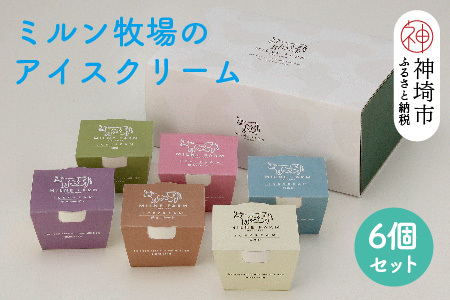 佐賀脊振高原ミルン牧場のアイスクリーム6個セット(H102121)
