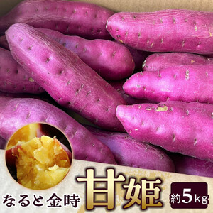 さつまいも なると金時「甘姫」約5kg　新芋 7月下旬から順次発送