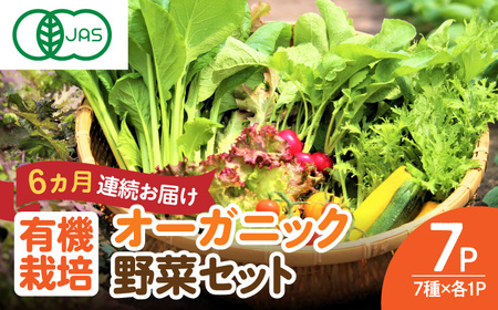 【全6回定期便】オーガニック サラダミニセット 7種×1パック / 佐賀県 / 株式会社サガンベジ [41ANCH005]