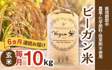 【全6回定期便】ビーガン米 玄米 計60kg（10kg×6回） / 佐賀県 / 株式会社サガンベジ [41ANCH007]
