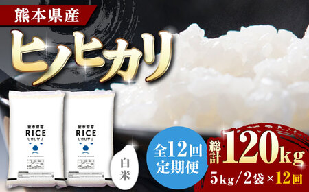 〈令和7年度産米〉 【全12回定期便】 ヒノヒカリ 白米 10kg【株式会社 農産ベストパートナー】 令和7年産 [ZBP079]