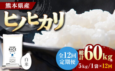 〈令和7年度産米〉 【全12回定期便】 ヒノヒカリ 白米 5kg【株式会社 農産ベストパートナー】 令和7年産 [ZBP090]