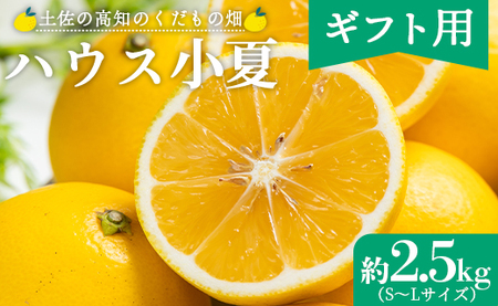【2027年出荷分】小夏 (日向夏) 小夏 2.5kg ギフト用 kd-0031