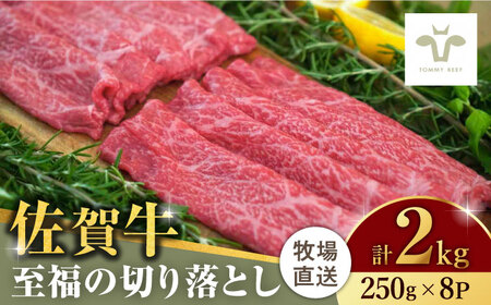 佐賀牛至福の切り落とし 計2kg（250g×8袋） [41ASAA029]