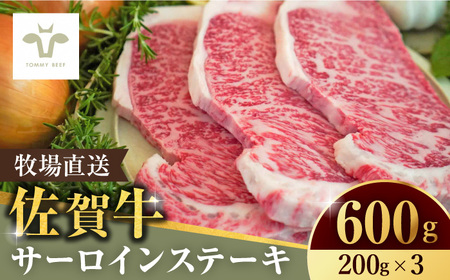 佐賀牛サーロインステーキ600g（200g×3枚） [41ASAA063]