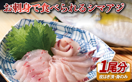 【シマアジ】 刺身 フィーレ 1kg シマアジ 鯵 A111