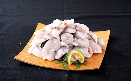 【 訳あり 】 とらふぐ 鍋 1kg セット とらふぐ A113