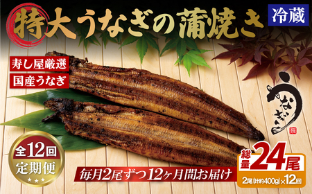 《定期便》寿し屋厳選!特大うなぎの蒲焼き(国産)【12回お届け】
