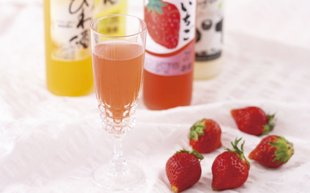 炭酸割りがGOOD!果肉入りフルーツリキュール10種10本 食感も味わえる 創業230年の酒蔵が作った 本格的リキュール【梅ヶ枝酒造】桃 梅酒 びわ ゆず メロン 甘夏 いちご りんご アロエ マンゴー
