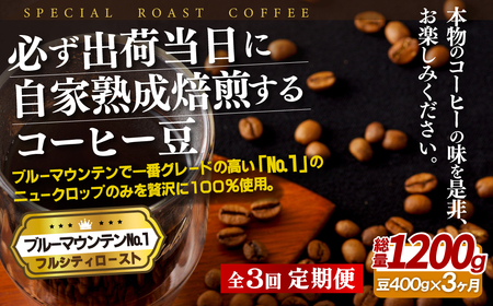 必ず出荷日に自家熟成焙煎ブルーマウンテンNo.1豆(400g)【3回定期便】