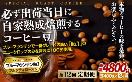 必ず出荷日に自家熟成焙煎ブルーマウンテンNo.1豆(400g)【12回定期便】