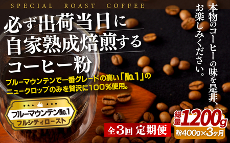 必ず出荷日に自家熟成焙煎ブルーマウンテン粉No.1(400g)【3回定期便】